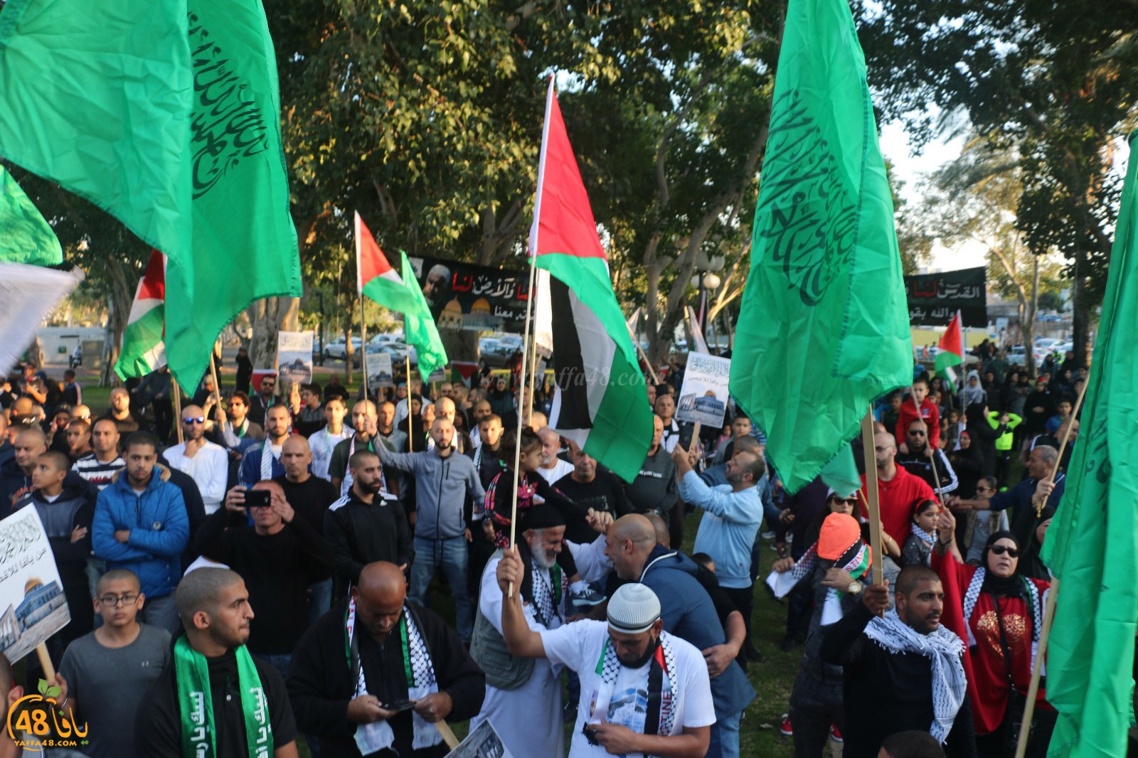 yaffa modahara jeq (77).jpg